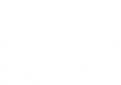 The Lavish Palm